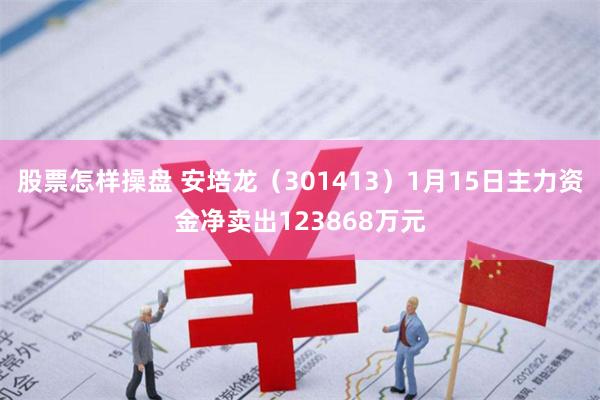 股票怎样操盘 安培龙（301413）1月15日主力资金净卖出123868万元