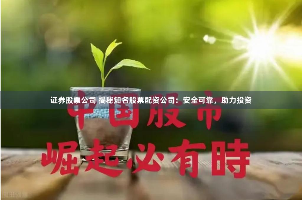 证券股票公司 揭秘知名股票配资公司：安全可靠，助力投资