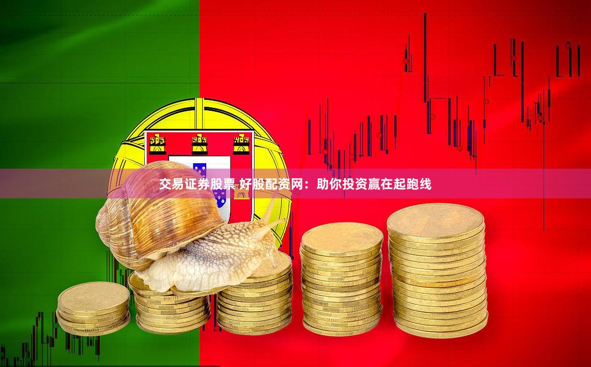 交易证券股票 好股配资网：助你投资赢在起跑线