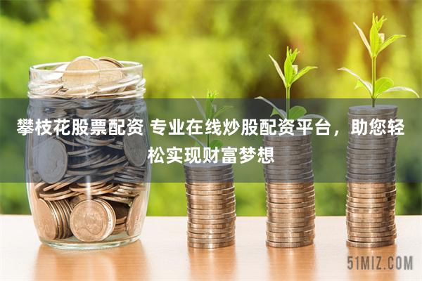 攀枝花股票配资 专业在线炒股配资平台，助您轻松实现财富梦想