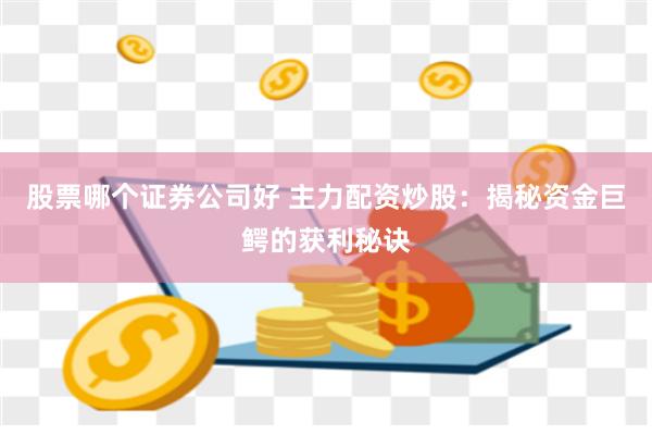 股票哪个证券公司好 主力配资炒股：揭秘资金巨鳄的获利秘诀